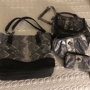 Iridescent snakeskin purse bundle